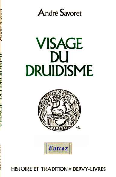 couverture visage du druidisme